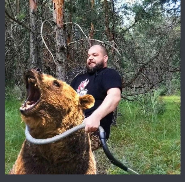 Что подстерегает тебя в лесу