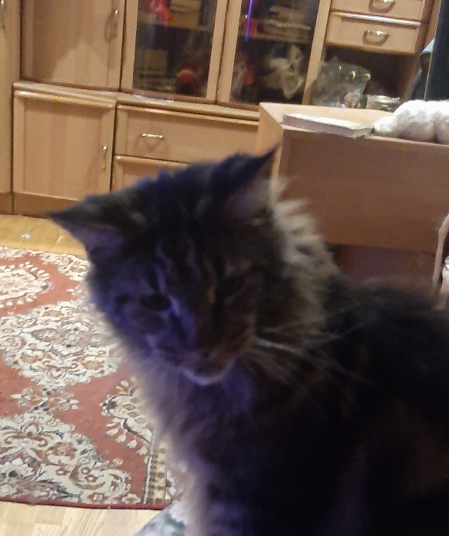 Принимайте в собратья, которабы
