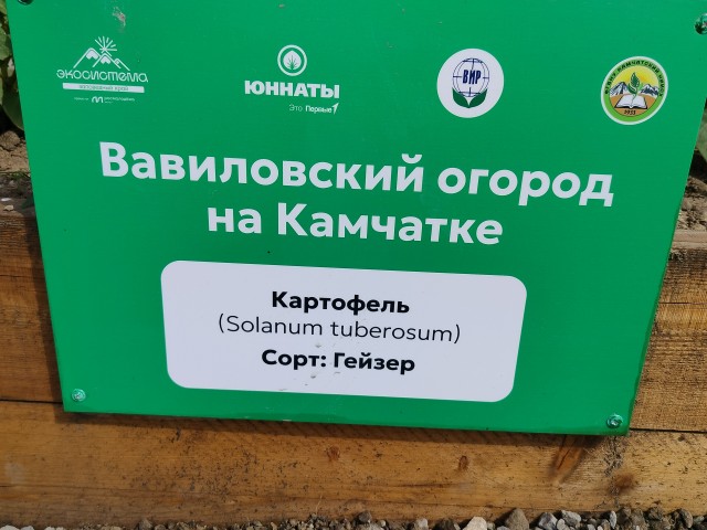 Сгонял на Камчатку