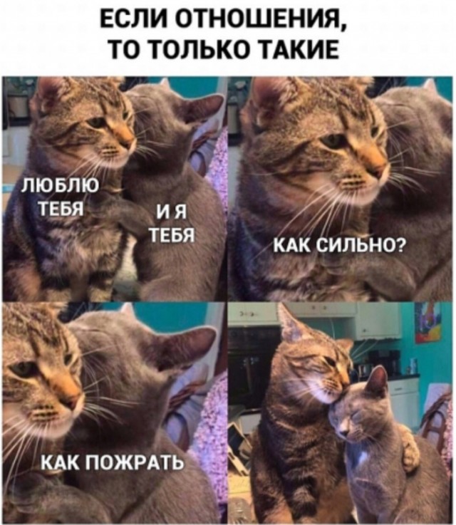 Прикольные и просто красивые картинки 01.11.2024