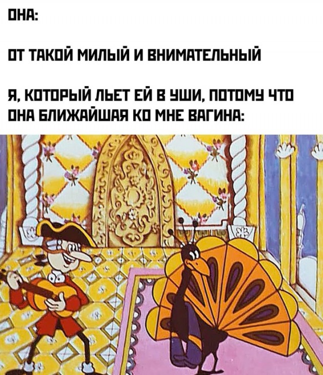 Весёлый полтишок 23.01.25