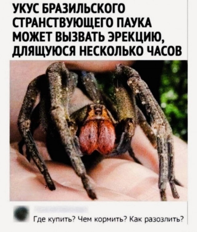 Картинки выходного дня