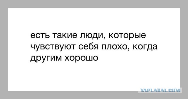 После обновления проги жрут как кони