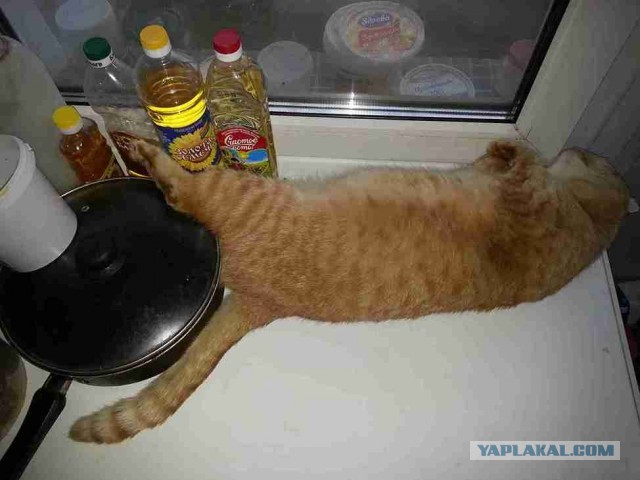 Скоро весна