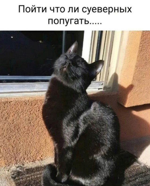 Так себе картинки 13.03.25
