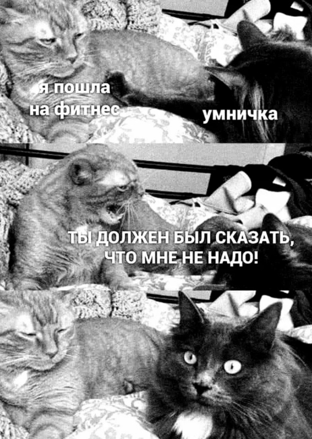 Завалялось тут случайно немного забавных картинок