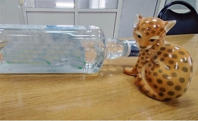 В Мордовии Володя Родин «избил» машину коллеги, к которому ушла жена и дети