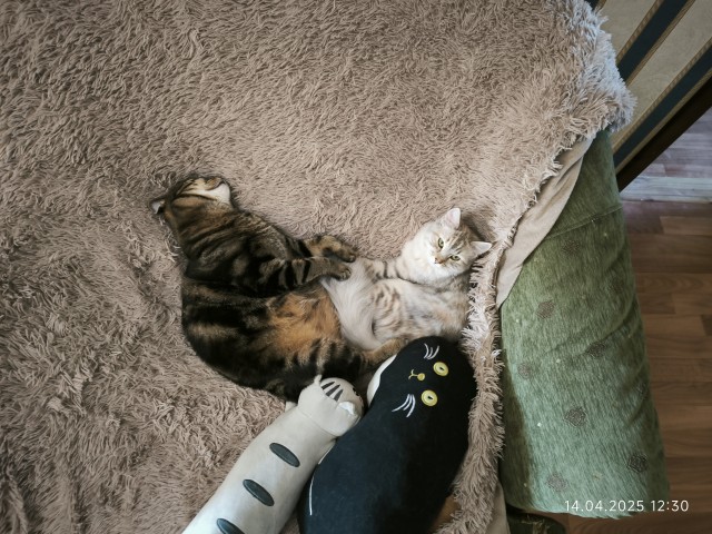 Косоглазый Смайлик