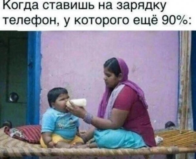 Веселые картинки в пятницу (11.07)