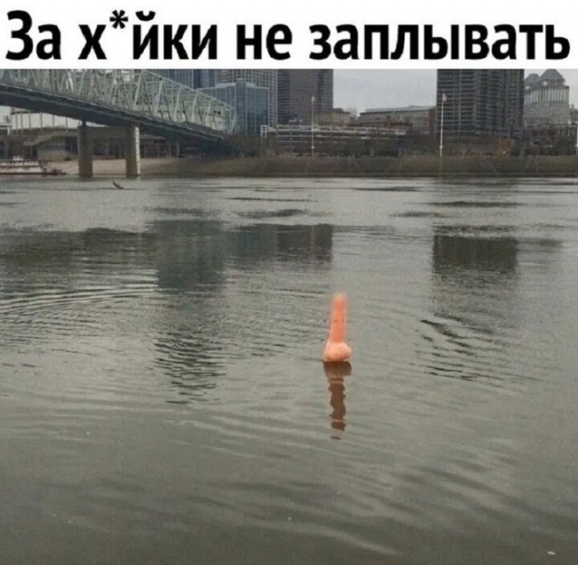 Всякая всячина