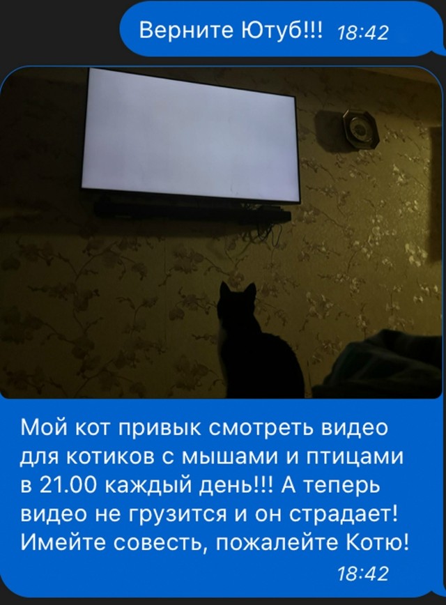 Так себе картинки 22.11.25