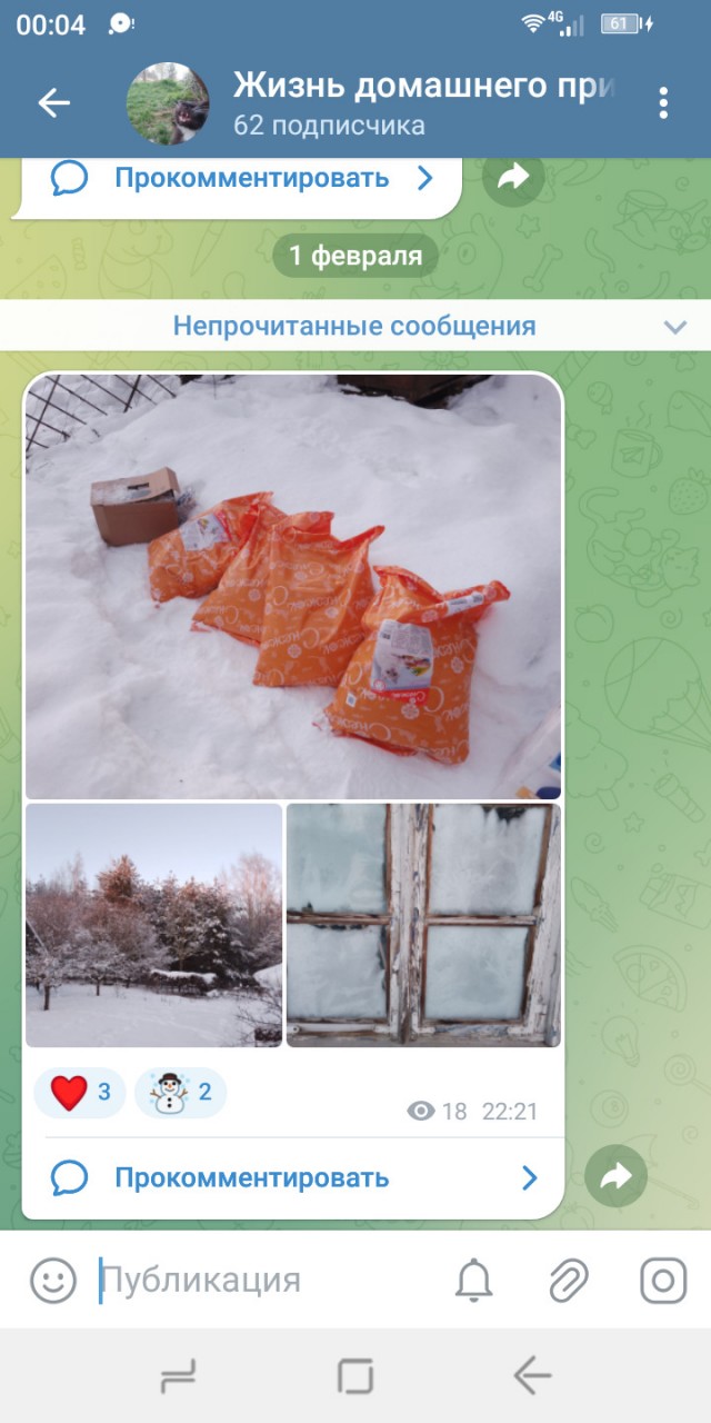 Жизнь домашнего приюта для котеек 571
