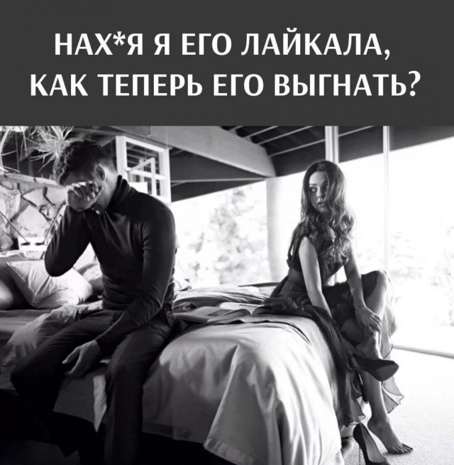 Веселое настроение в картинках (14.02.2025)