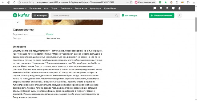 Продаётся кот. 180 000 руб. Налетай!