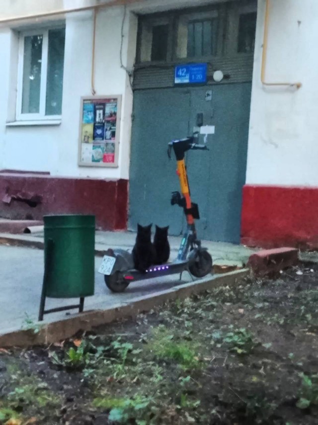 И опять вдвоем на одном электросамокате