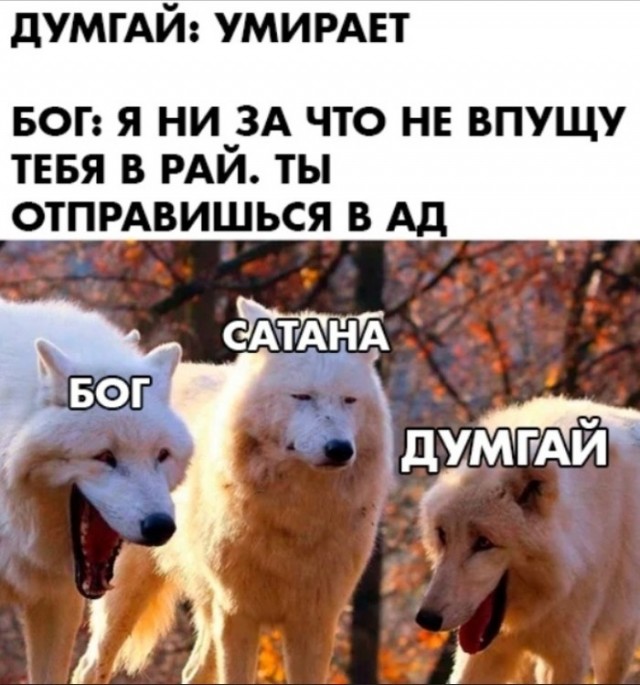 Картинки для деградации 257 (разной степени свежести)