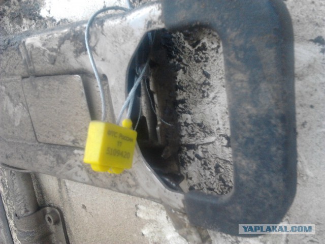 Где яблоки растут!