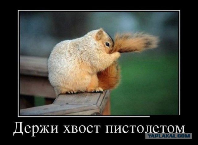 Немного позитива на пятницу
