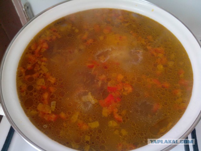 Неудачная рыбалка или нет худа без добра