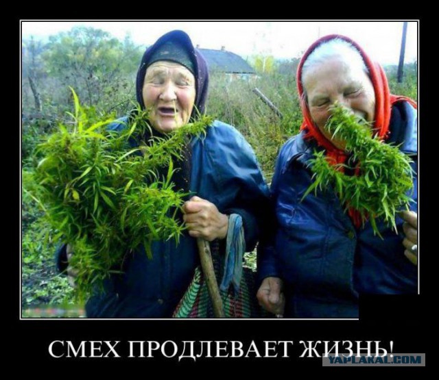 То, что улыбнуло в 2015