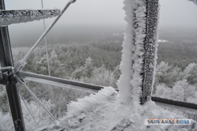 Я узнал, что у меня есть огромная семья