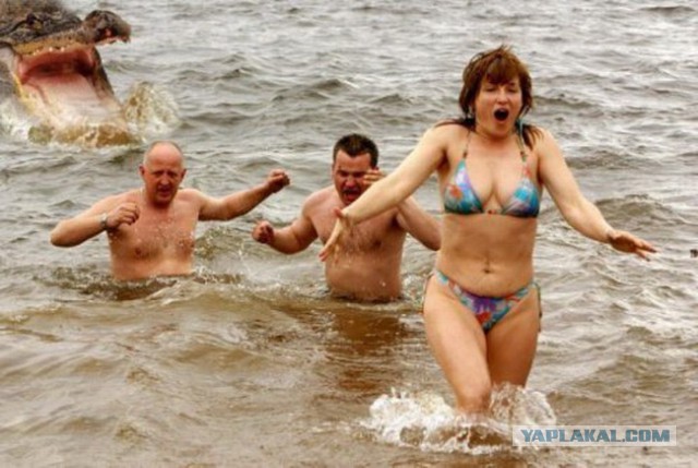 Неприятности разные, подборка. ч.2