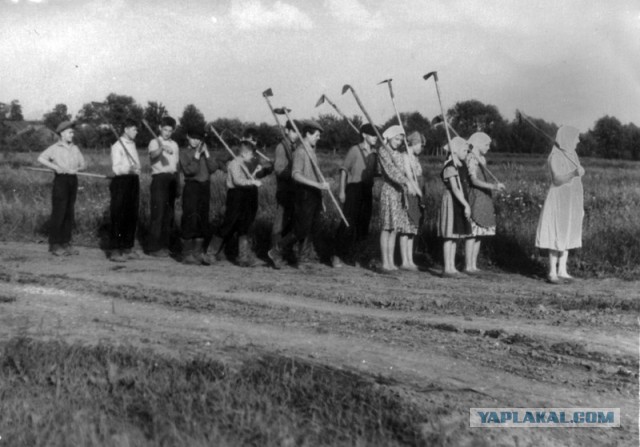 Вот оно какое наше лето!