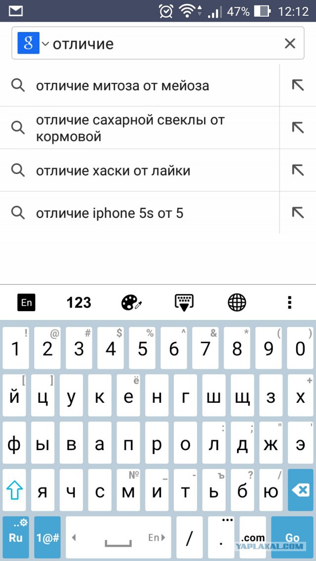 Медведев повысил замглавы Минсельхоза РФ, не сумевшего ответить на вопрос про свеклу