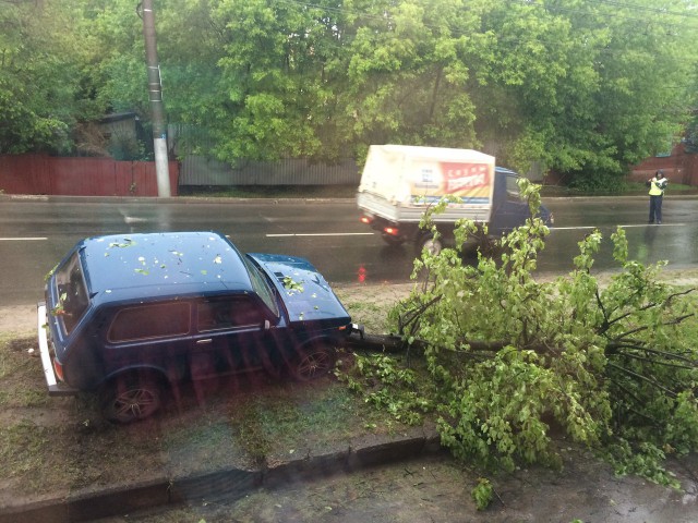 Вот зачем летать в такую погоду?!