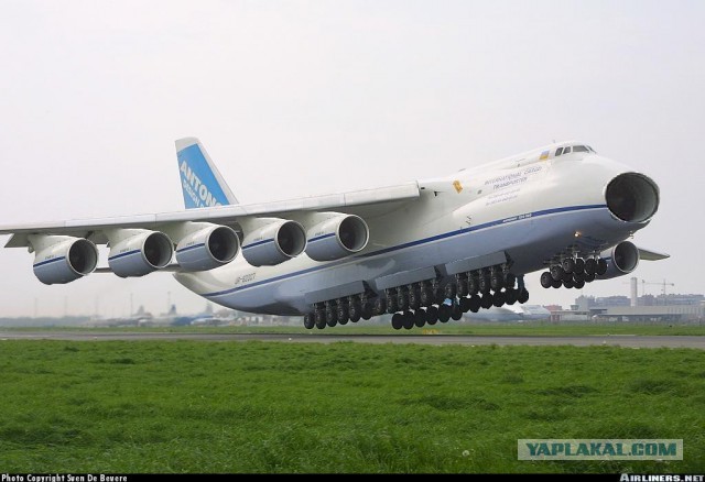 А Коцюба им такой и говорит...