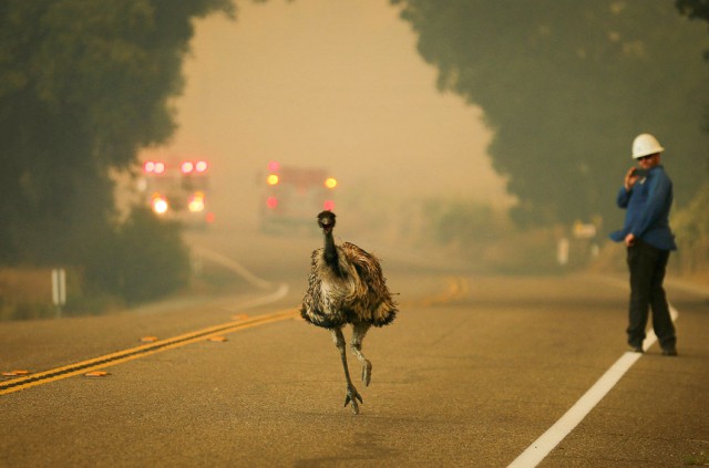 Подборка любопытных фотографий со всего света
