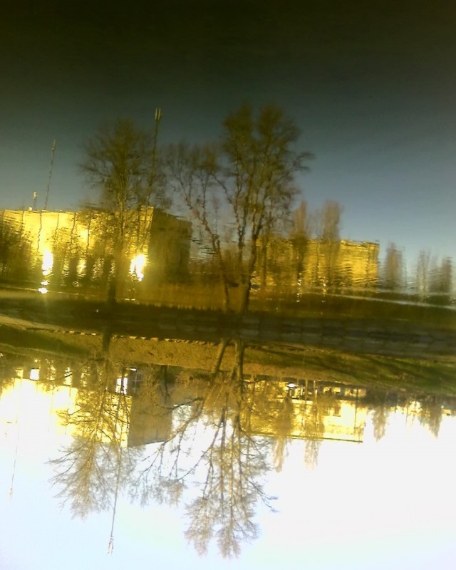любительская фотография