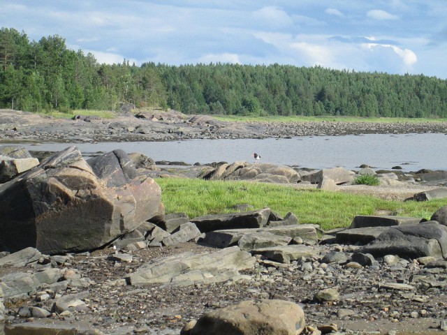 Карелия. Белое море.
