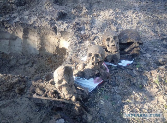 Неизвестный Сталинград: Городской сад