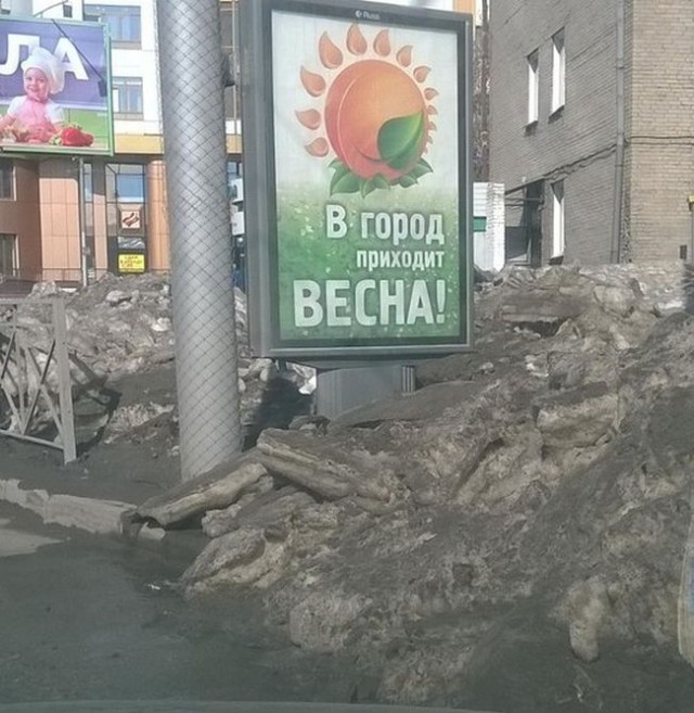Подборка безудержного веселья
