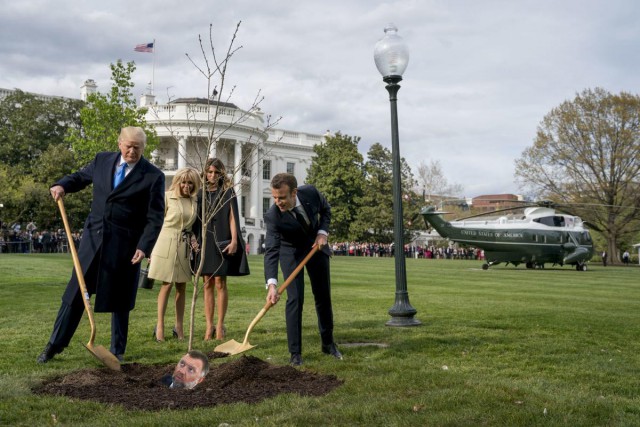 Сажающие дерево Трамп и Макрон превратились в мем