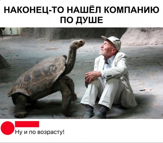 Живность из сети