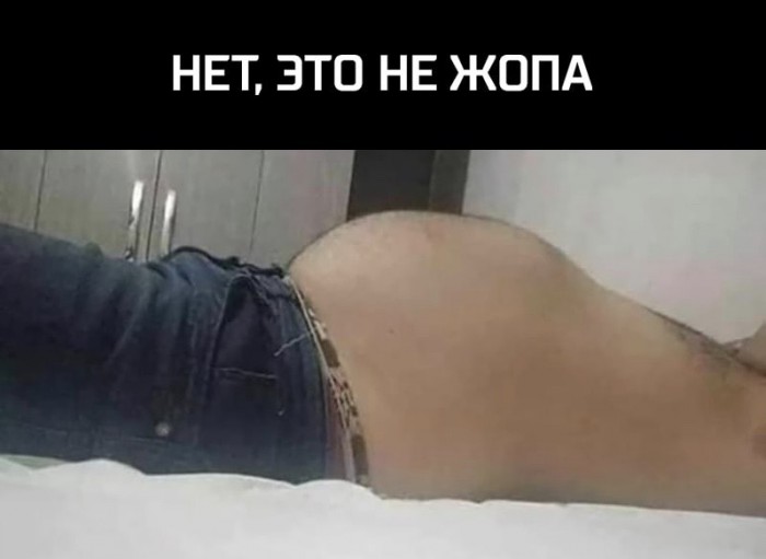 Приколюхи из скотсетей