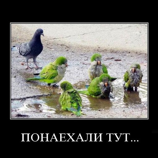 Почему "ПОНАЕХАВШИЕ" добиваются больших успехов в Москве в отличии от местных?