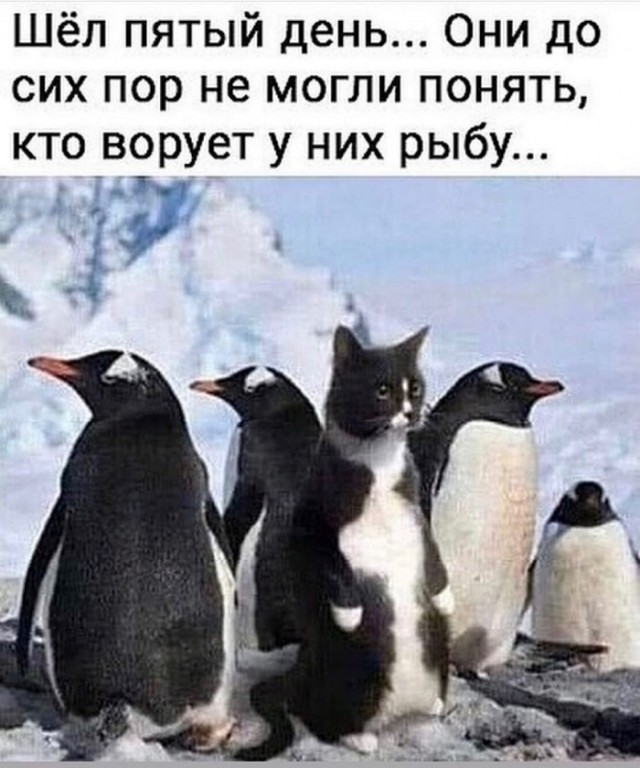 Картинки с надписями и всякие жизненные фразы 8.01.2021