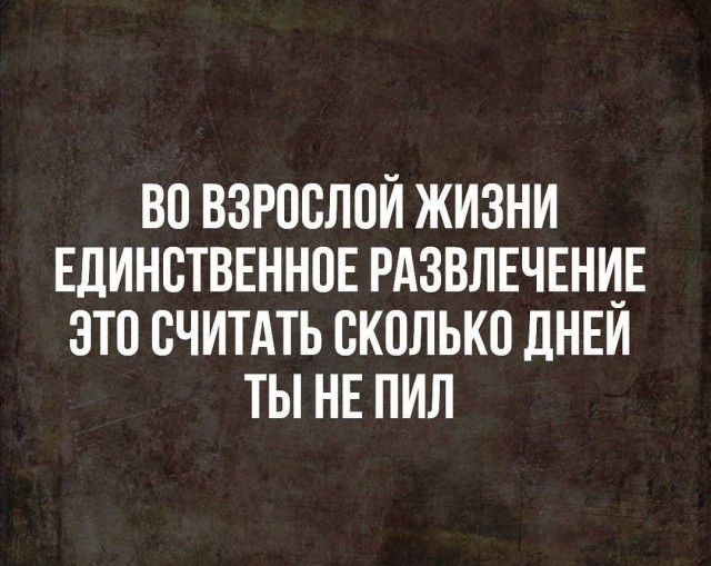 Веселые картинки отовсюду 23.02.21
