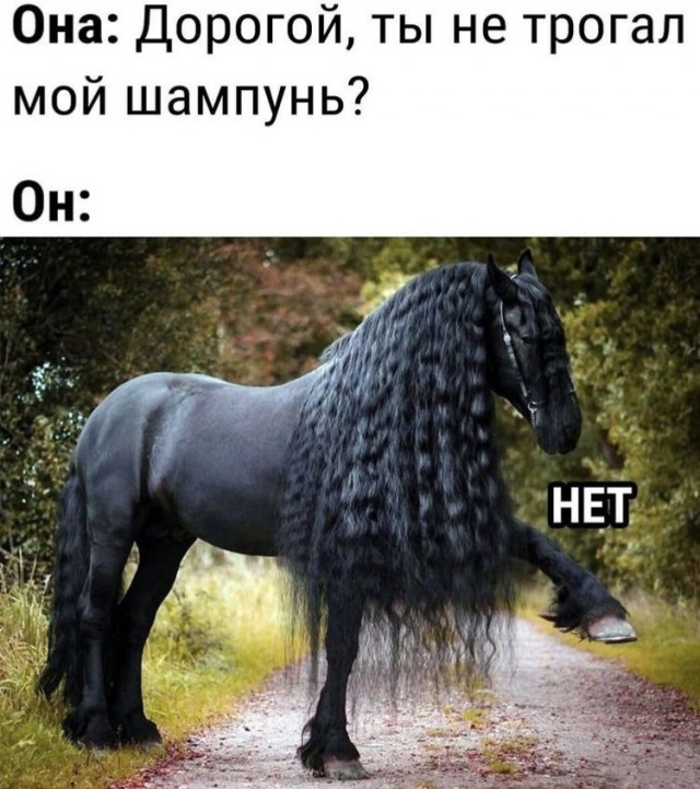 Картинки и мемы для настроения 006