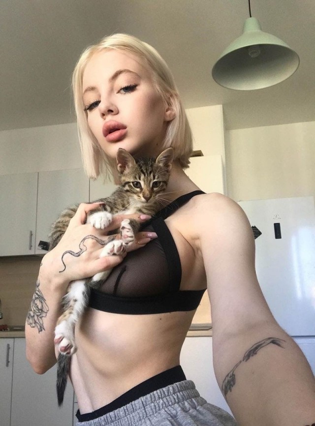 Девушки котовторника