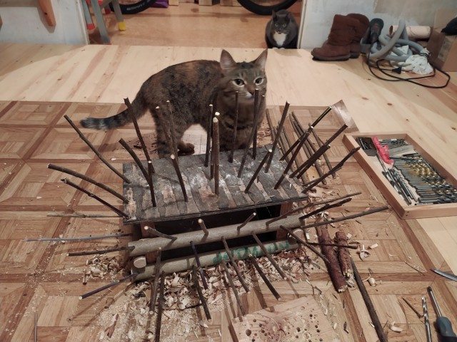 Голуби СТОП!