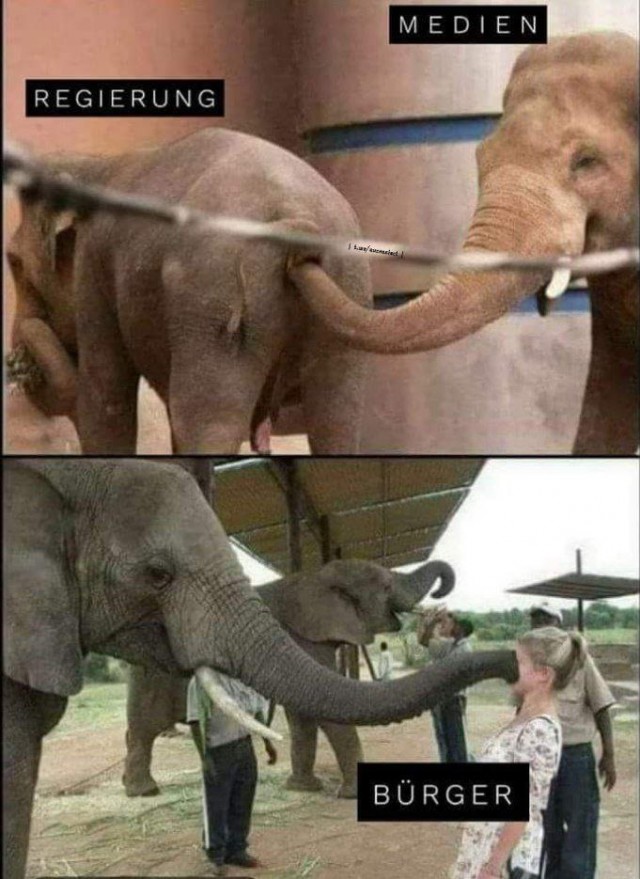 Так себе коронавирусные и не только картинки из Германии, часть 2