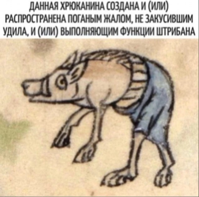 Снял сегодня рапсовое поле