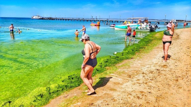 Курорты Краснодарского края