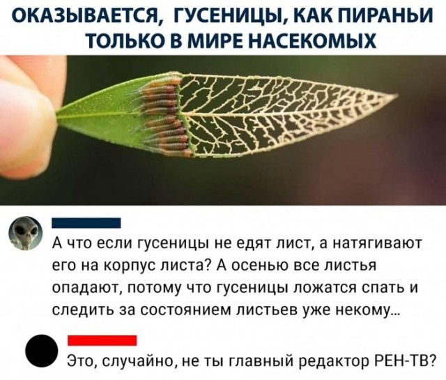 Скриншоты и комментарии из социальных сетей 16.09.22
