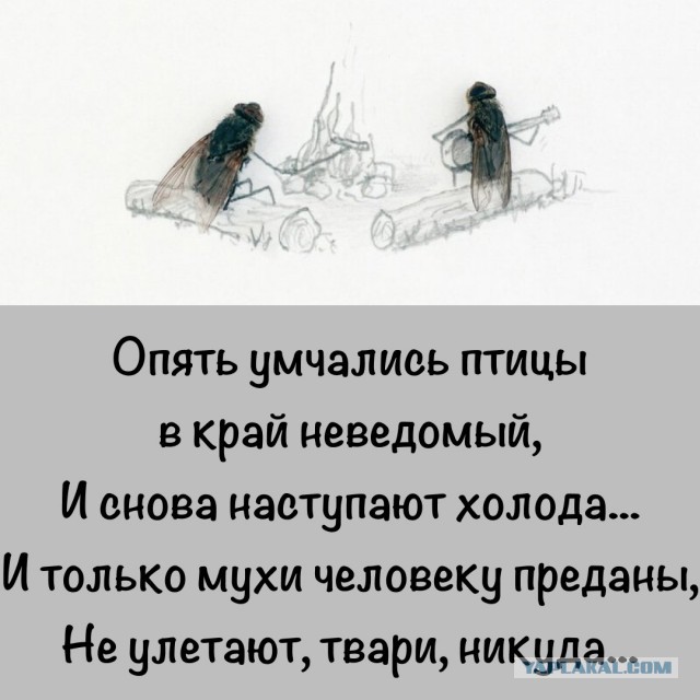 Наконец-то мы дома!