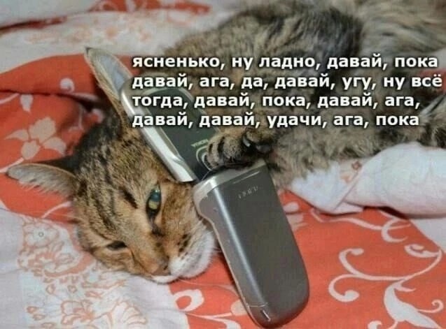 Картинки. Без темы